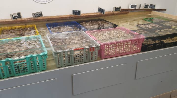 Produits de la Mer